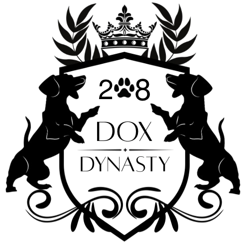 Puppies and Trained Dachshunds from the Highest Rated Breeder in Tennessee